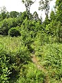 Čeština: Okrouhlický potok nedaleko vsi Červený Dvůr - mýtina. Okres Benešov, Česká republika. English: Okrouhlický Stream - glade, near Červený Dvůr village, Benešov District, Czech Republic.