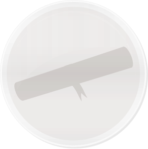 File:Orange Icon Pale Award.svg