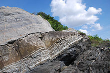Ordovician-Silurian boundary on Hovedoya, Norway, showing brownish late Ordovician mudstone and later dark deep-water Silurian shale. The layers have been overturned by the Caledonian orogeny. Ordovicium-Silurian.jpg