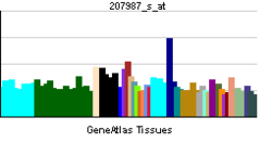 PBB GE GNRH1 207987 s at tn.png