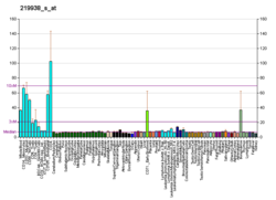 PBB GE PSTPIP2 219938 s bei fs.png