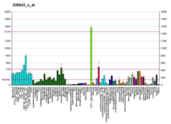 PBB GE TLOC1 208943 s در fs.png