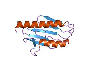 <span class="mw-page-title-main">Frataxin-like domain</span>