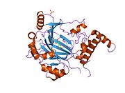 PDB 1h2l EBI.jpg