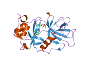 1xk5: ساختار کریستالی دامنه اتصال m3G-cap اسنورپورتین1 در کمپلکس با یک دی نوکلئوتید m3GpppG-cap