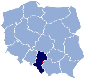 Poziția localității Jaworzno