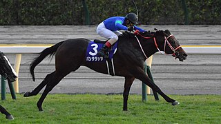 <span class="mw-page-title-main">Panthalassa (horse)</span> Japanese thoroughbred racehorse