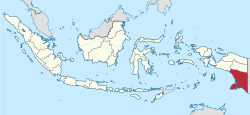 Peta Papua Kidul ing Indonésia