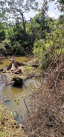 Parangi Aru Parangi Aru 01.jpg