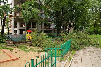 Złamana robinia akacjowa na placu zabaw uszkodziła karuzelę