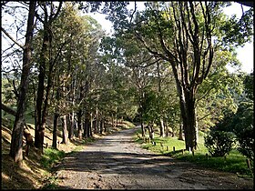 El Junko (parroquia civil)