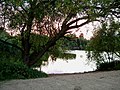 Parsloe's Pond - geograph.org.uk - 53362.jpg