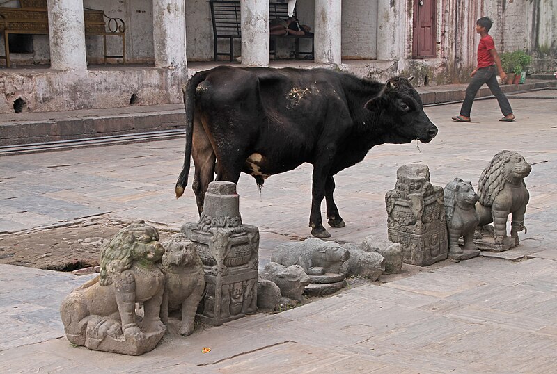 File:Pashupatinath-Vatsala-12-Kuh-2015-gje.jpg