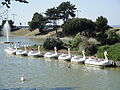 A line of pedaloes at the Waterside Pool, Ryde, Isle of Wight.