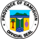 Official seal of Kamigina