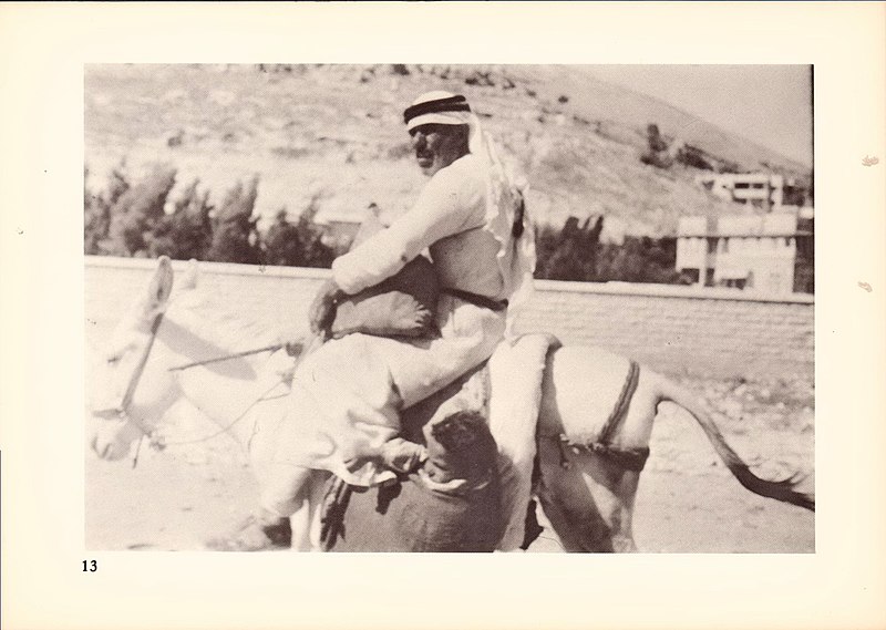 File:PikiWiki Israel 76598 children riding in a sack on a donkey.jpg