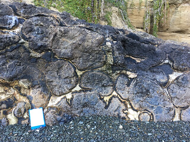 Pillow lava at Boatman's Harbour. Oamaru, New Zealand.