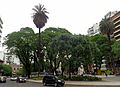 Plaza Güemes Buenos Aires 02.JPG
