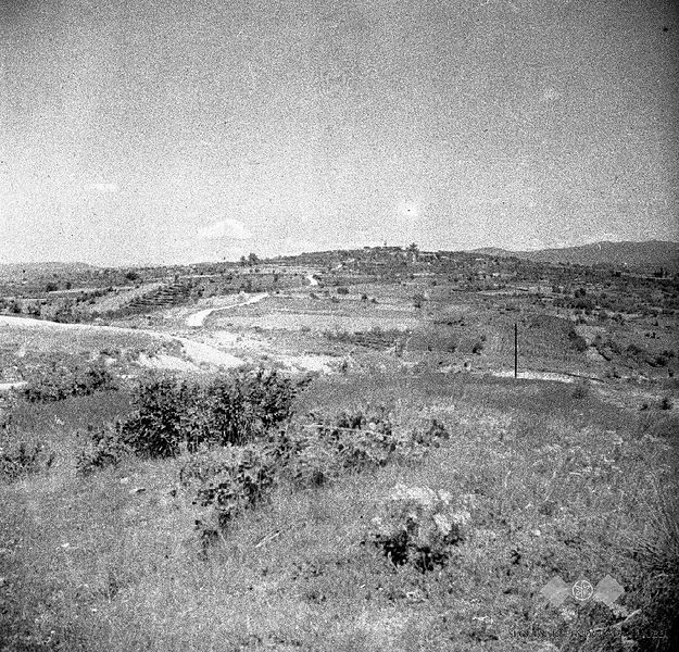 File:Pogled na Marezige 1950.jpg