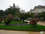 Pontevedra-Las Palmeras0024 (3195884377).jpg