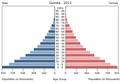 English: The population pyramid of Guinea illustrates the age and sex structure of population and may provide insights about political and social stability, as well as economic development. The population is distributed along the horizontal axis, with males shown on the left and females on the right. The male and female populations are broken down into 5-year age groups represented as horizontal bars along the vertical axis, with the youngest age groups at the bottom and the oldest at the top. The shape of the population pyramid gradually evolves over time based on fertility, mortality, and international migration trends. Українська: Віково-статева піраміда населення Гвінеї за 2013 рік. Вона дає наочне уявлення про вікову і статеву структура населення країни, може слугувати джерелом інформації про політичну і соціальну стабільність, економічний розвиток. Блакитними кольорами ліворуч, у вигляді горизонтальних смуг показані вікові групи (з кроком 5 років кожна) чоловічої статі, праворуч рожевими — жіночої. Наймолодші вікові групи — внизу, найстаріші — вгорі. Форма піраміди поступово еволюціонує з плином часу під впливом чинників народжуваності, смертності і світової міграції.