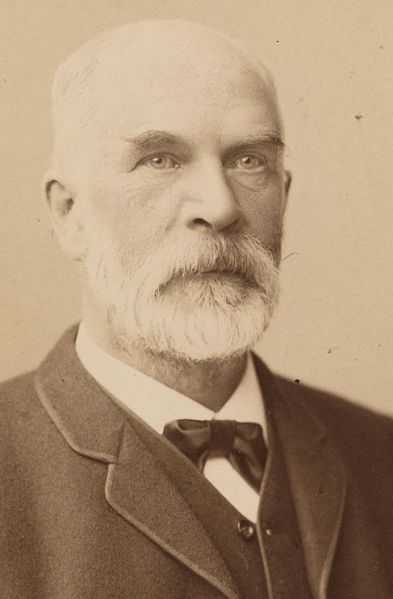 File:Portrett av matematikeren og fysikeren Cato Maximilian Guldberg, 1891 - no-nb digifoto 20160711 00004 blds 02999 (cropped).jpg