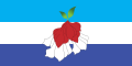 Proposed flag of Fiji (2015; design 35).svg