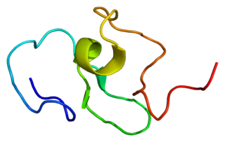 <span class="mw-page-title-main">BAZ1B</span> Protein-coding gene in the species Homo sapiens