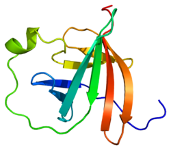 Белок MTCP1 PDB 1a1x.png