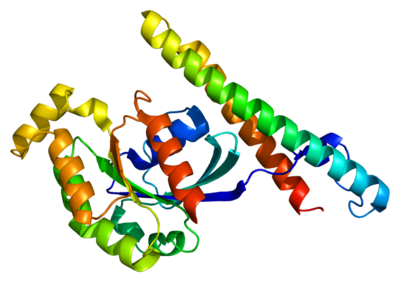 Protein kinase N1