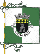 Bandeira de Castro Daire