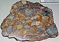 Quartz-pebble metaconglomerate (Jack Hills Quartzite, Archean, 2.65 to 3.05 Ga; Jack Hills, Western Australia) 2.jpg