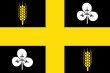 Vlag van de gemeente Raalte