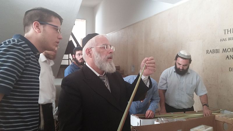File:Rabbi Yaakov Shapira choosing lulav.jpg