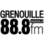 Vignette pour Radio Grenouille