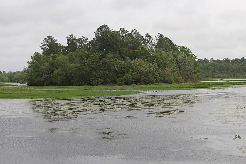 File:Reed Bingham Lake April 2023 2.jpg