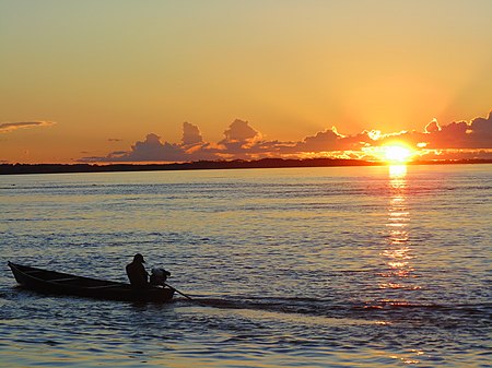 Rio Solimões Am.jpg