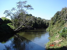 Pitangui River