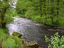 River Dunsop near Dunsop Bridge