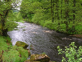 River Dunsop river in Lancashire, United Kingdom