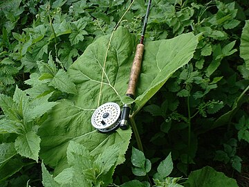 A fly fishing reel