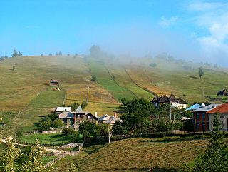 <span class="mw-page-title-main">Dâmbovicioara</span> Commune in Argeș, Romania