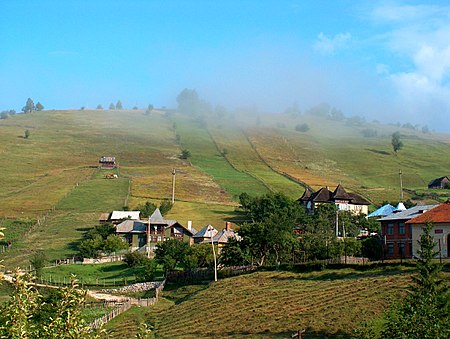 Dâmbovicioara