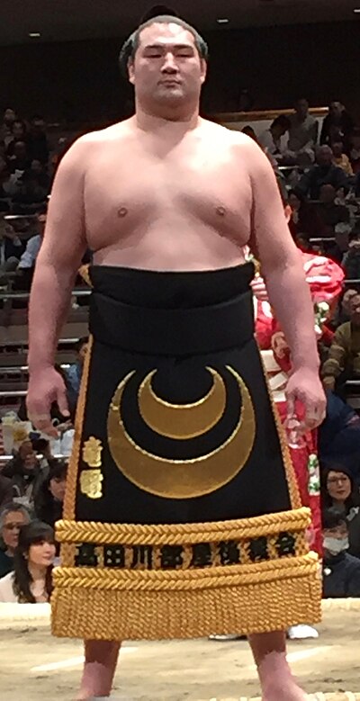 武士 幹士 勝 武士 (日本)