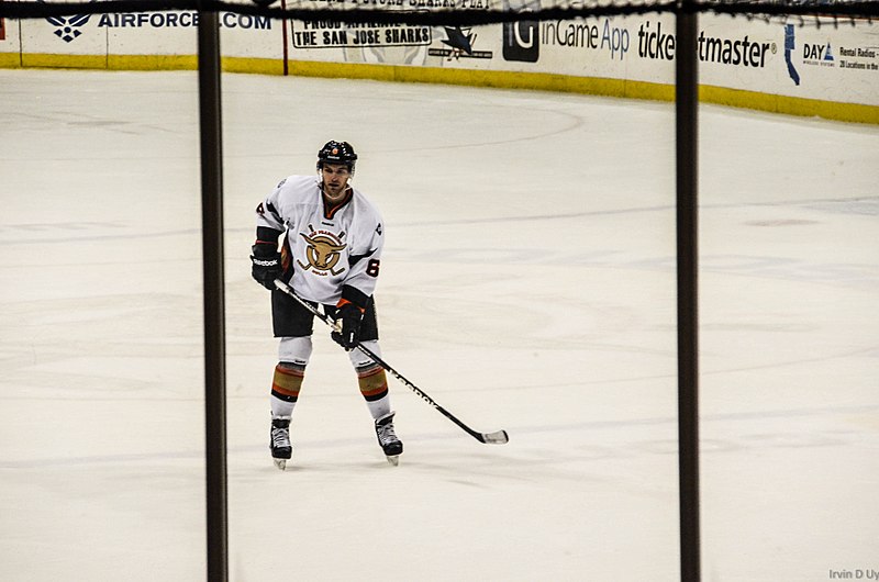 File:SF Bulls vs LV Wranglers, 28DEC12 (8328491055).jpg