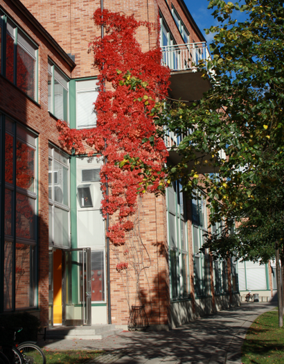 How to get to Thoren Innovation School Stockholm with public transit - About the place