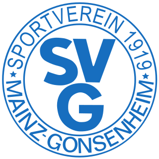 Fortune Salaire Mensuel de Sv 1919 Gonsenheim Combien gagne t il d argent ? 1 000,00 euros mensuels