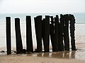 Lieu : Saint Malo (Bretagne / France)