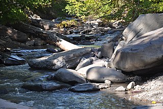 <span class="mw-page-title-main">Saw Kill (Esopus Creek tributary)</span> River in New York, United States