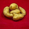 Bilder der Kartoffelsorte